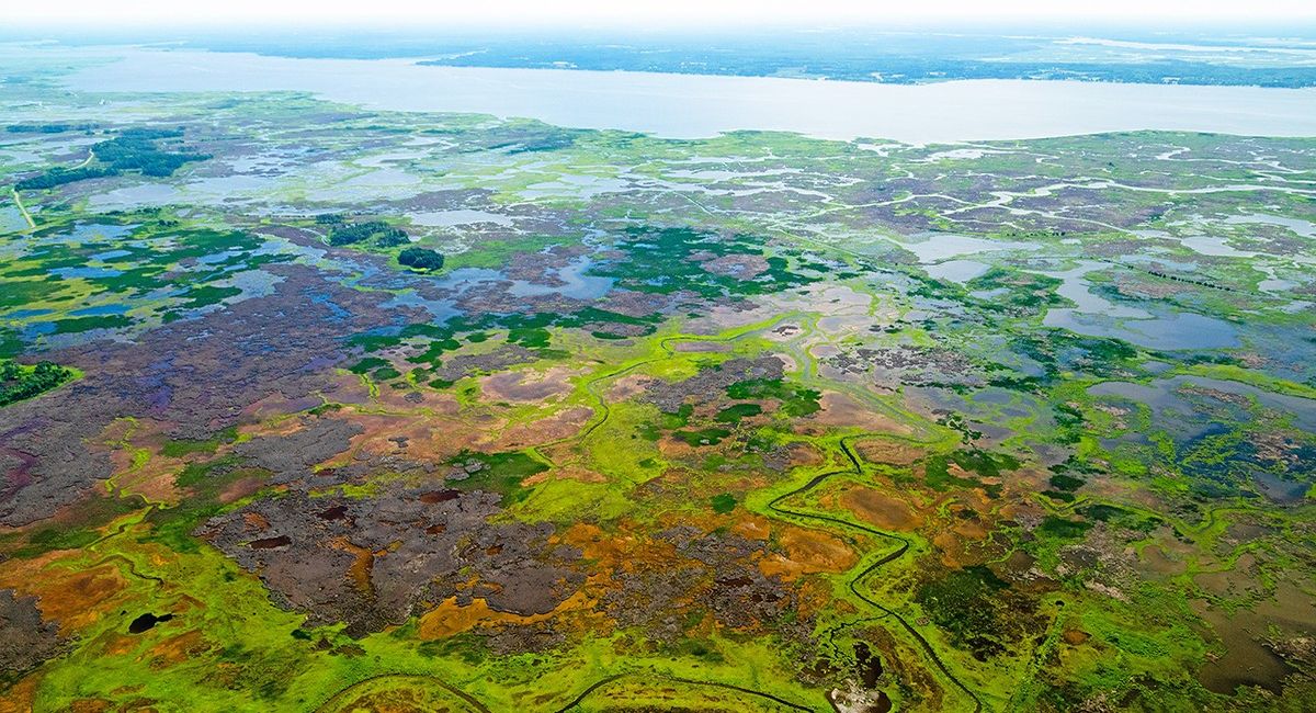 hidden-gems-of-marylands-eastern-shore-blackwater-national-wildlife-refuge