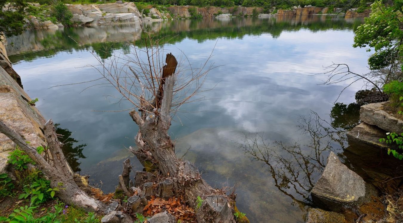 hidden-gems-of-massachusettss-halibut-point-state-park-quarry
