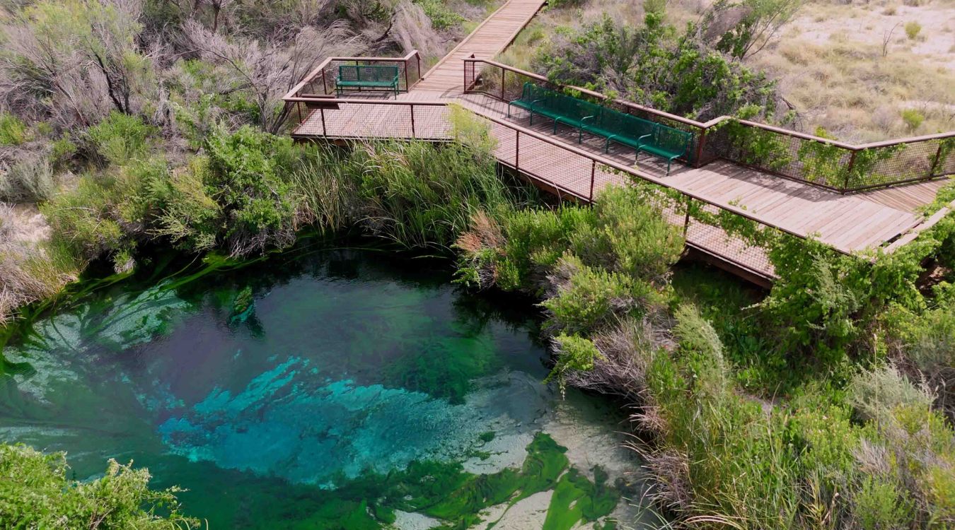hidden-gems-of-nevadas-ash-meadows