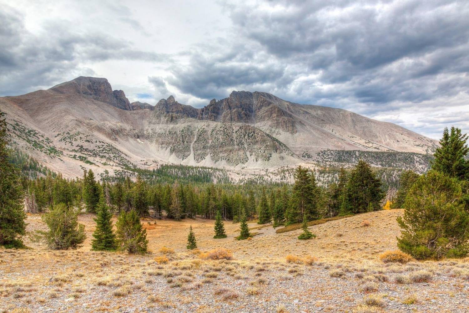 hidden-gems-of-nevadas-great-basin-national-park-wheeler-peak-trail
