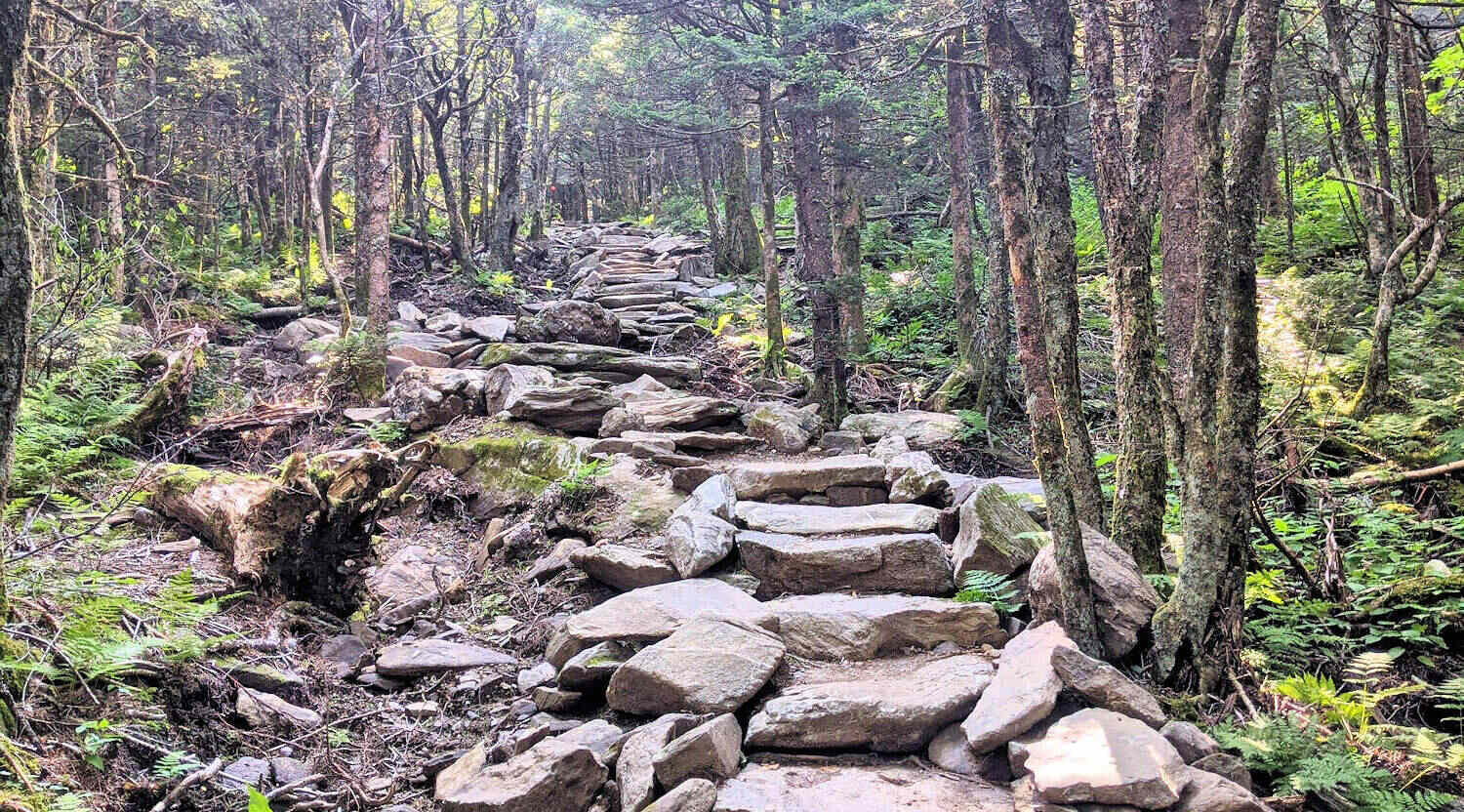 hidden-gems-of-north-carolinas-grandfather-mountain-profile-trail