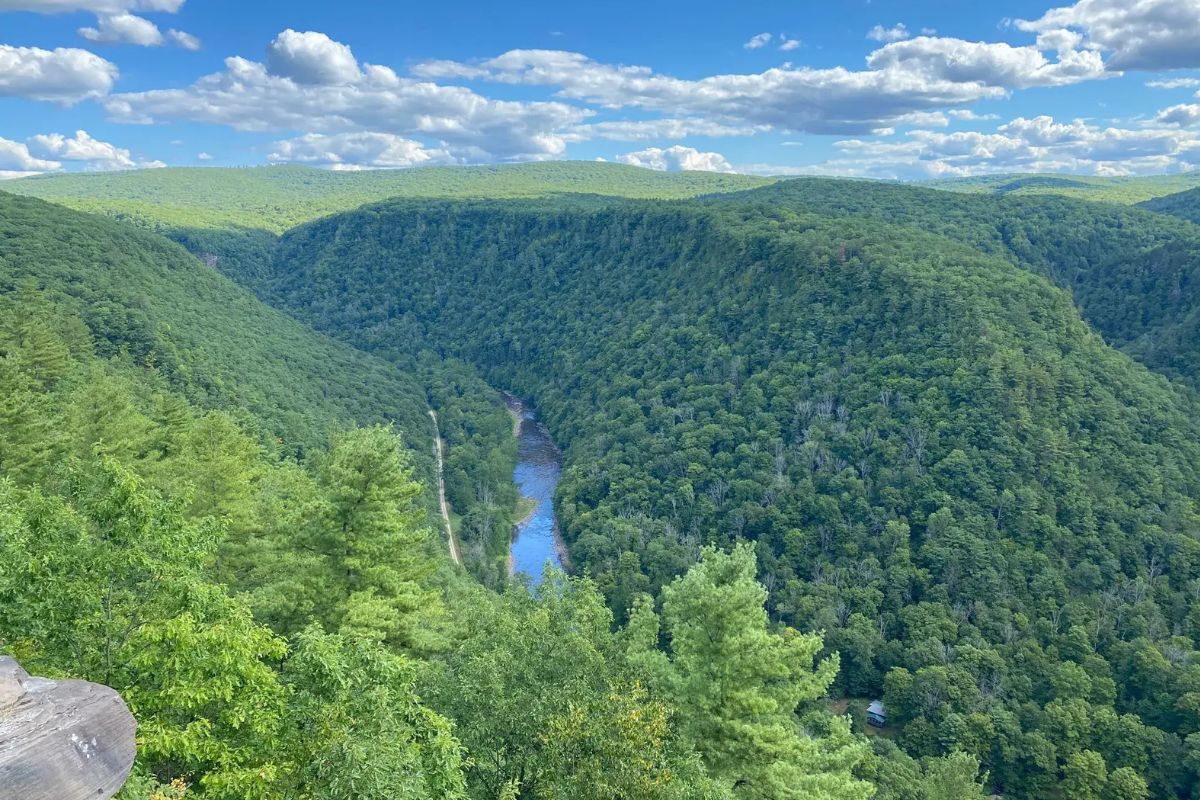 hidden-gems-of-pennsylvanias-pine-creek-gorge-turkey-path