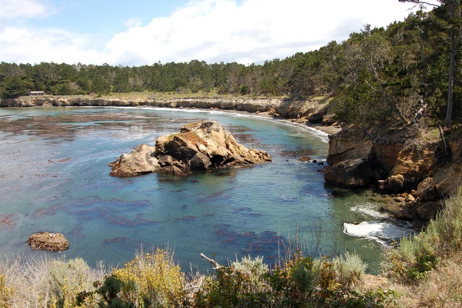 Hidden-Gems-Of-Point-Lobos-Whalers-Cove hidden-gems-of-point-lobos-whalers-cove