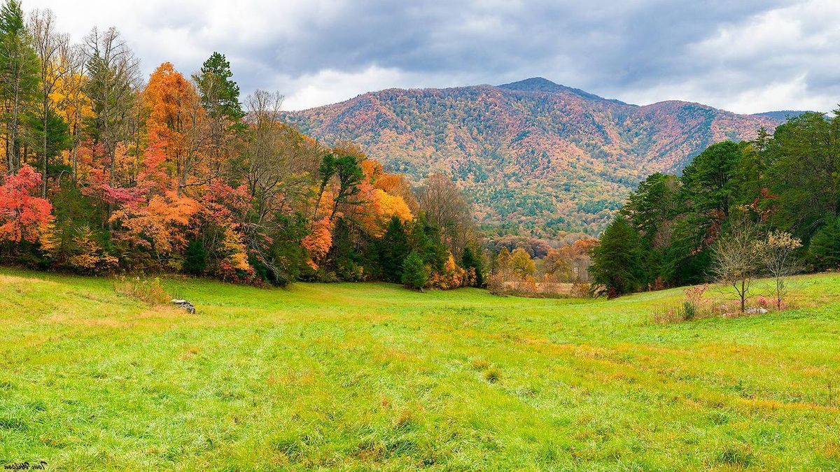 hidden-gems-of-tennessees-great-smoky-mountains-cades-cove
