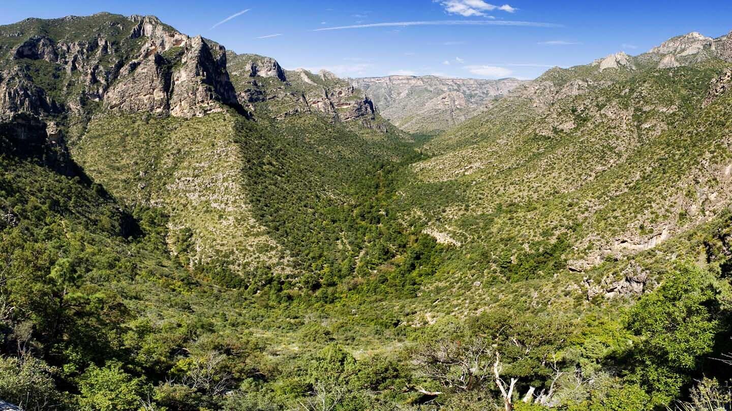 hidden-gems-of-texass-guadalupe-mountains-mckittrick-ridge