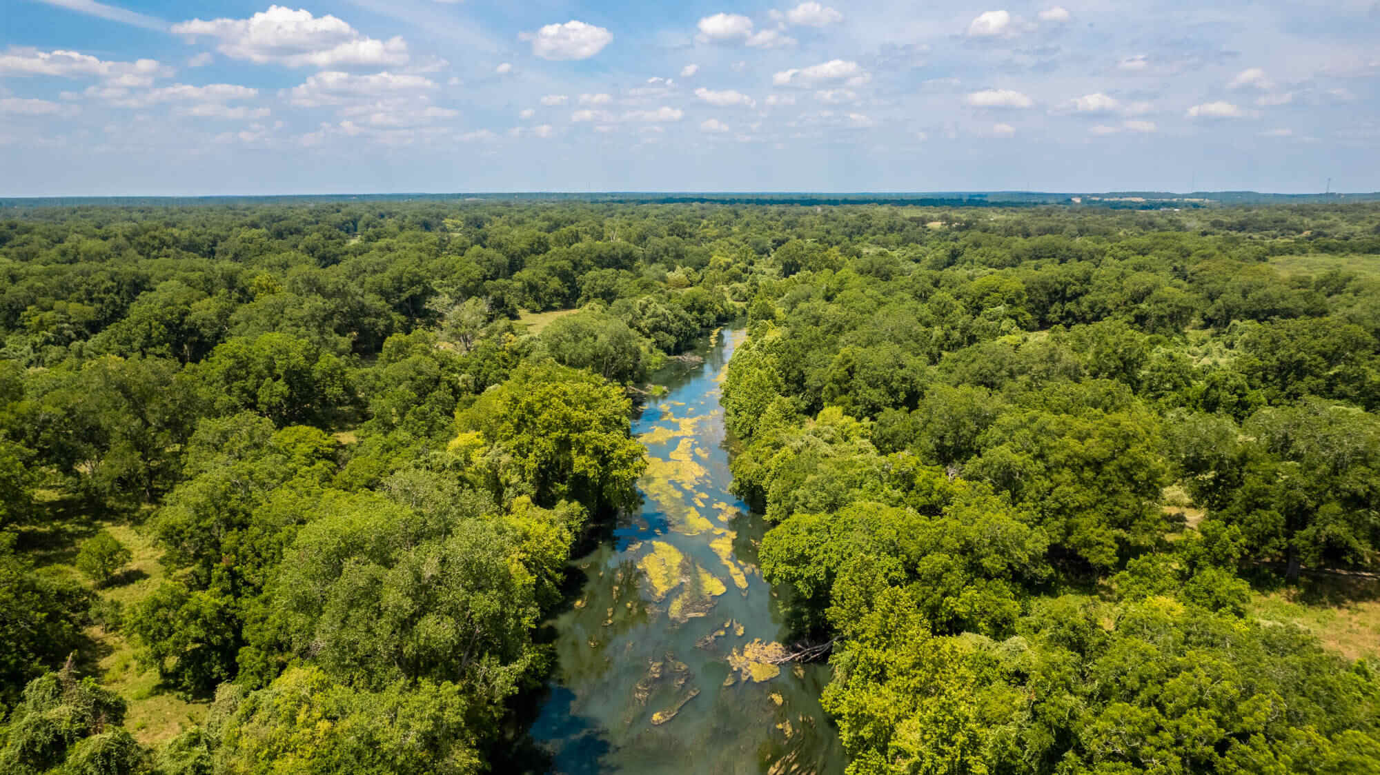 hidden-gems-of-texass-post-oak-savannah-wildlife-trails