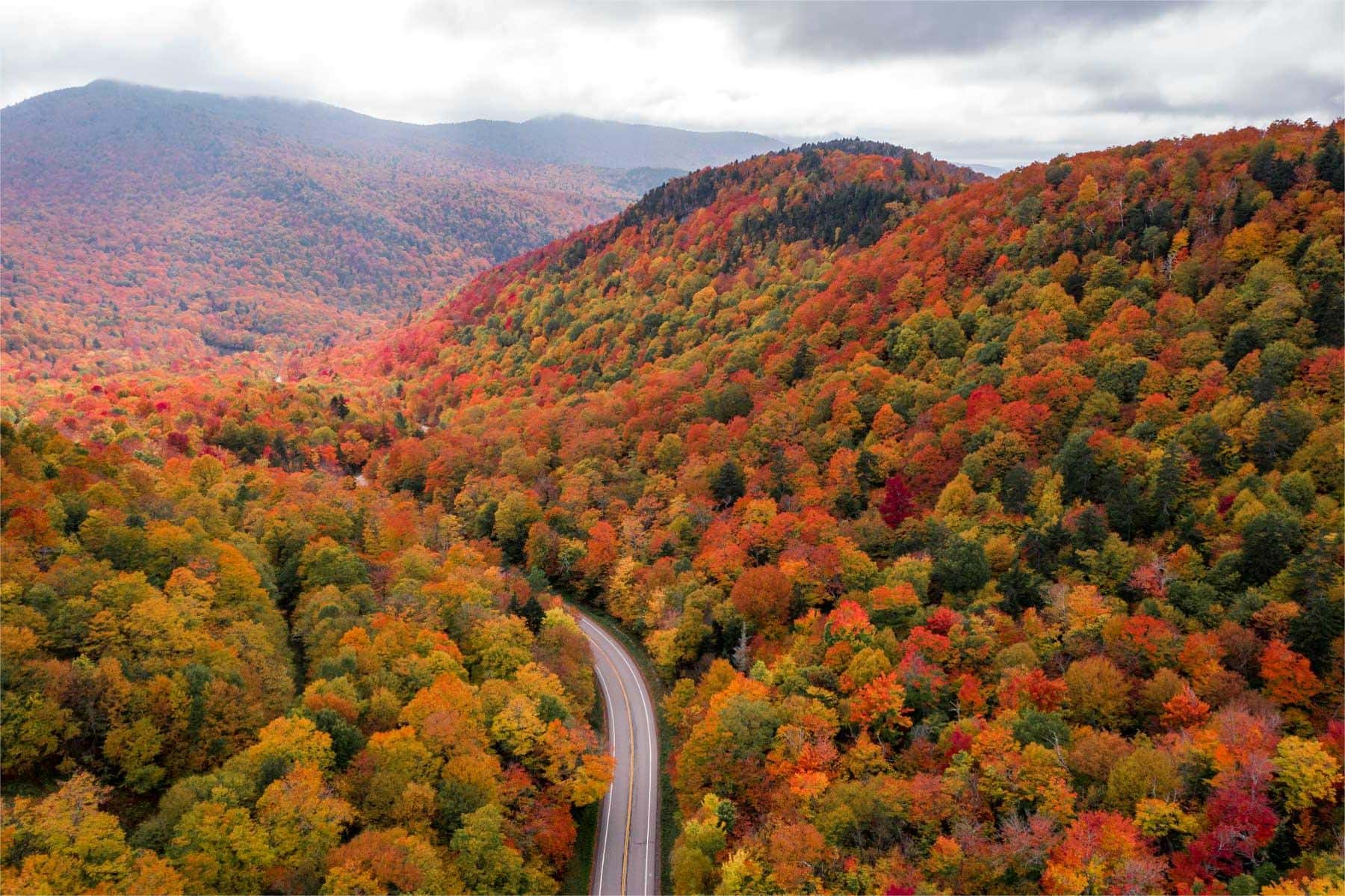 hidden-gems-of-vermonts-green-mountain-national-forest-moosalamoo