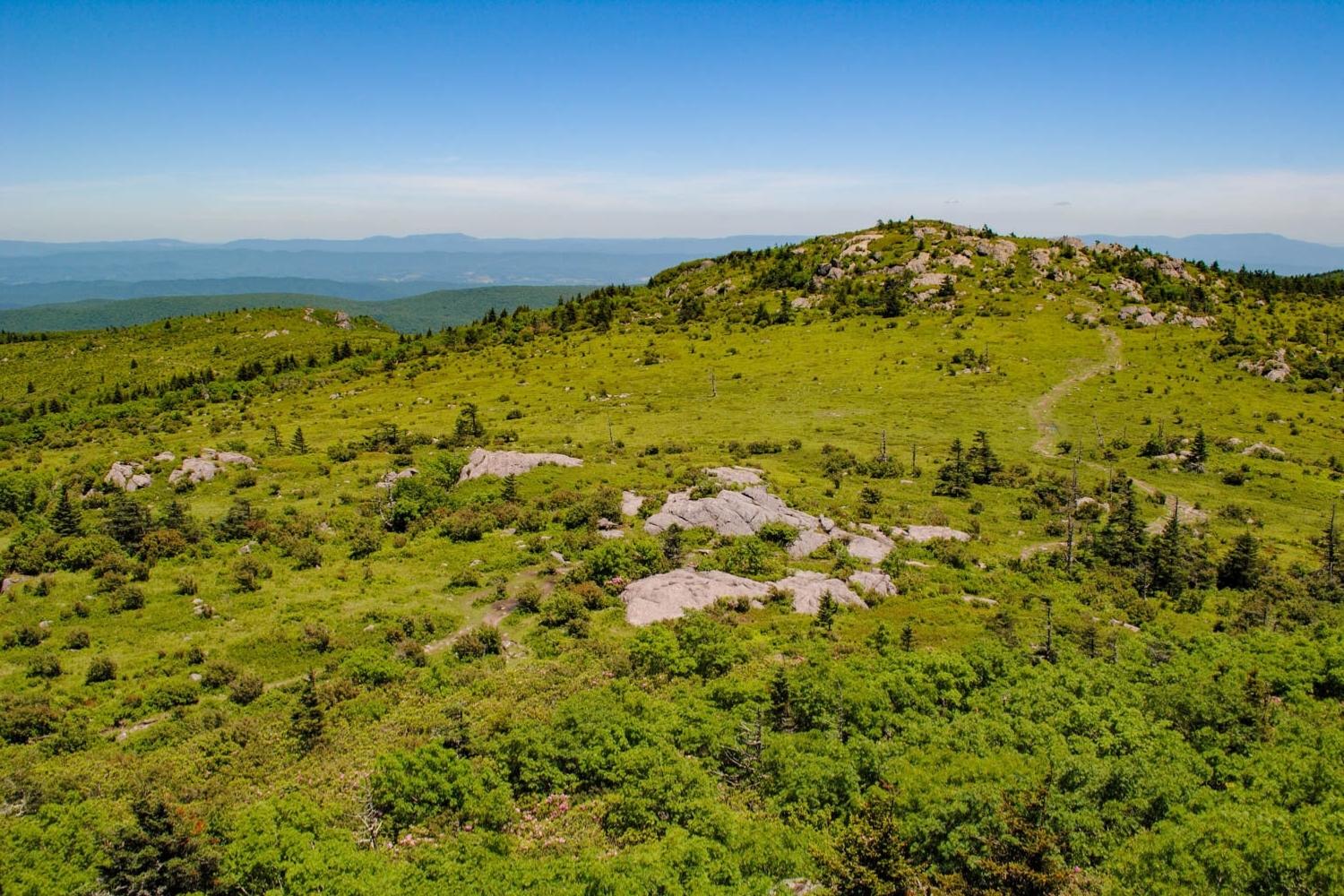hidden-gems-of-virginias-grayson-highlands-rhododendron-trail