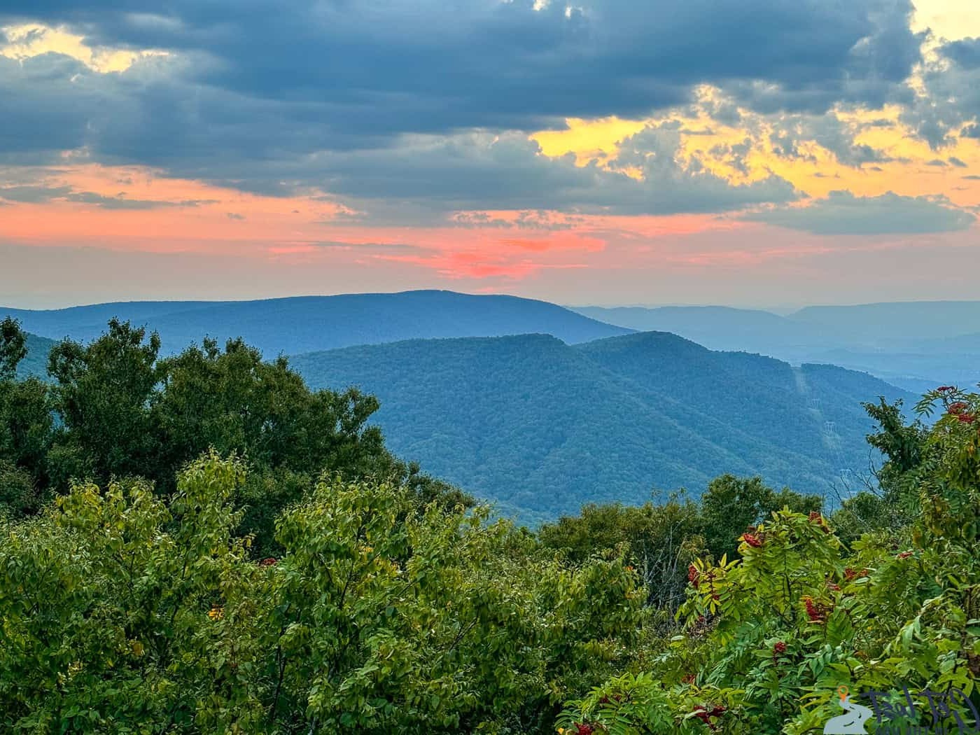 Hidden-Gems-Of-Virginia8217s-Shenandoah-Mountain-Balds hidden-gems-of-virginias-shenandoah-mountain-balds