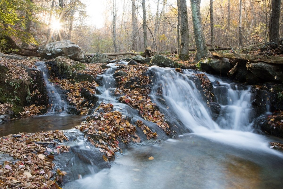 hidden-gems-of-virginias-shenandoah-valley-springs