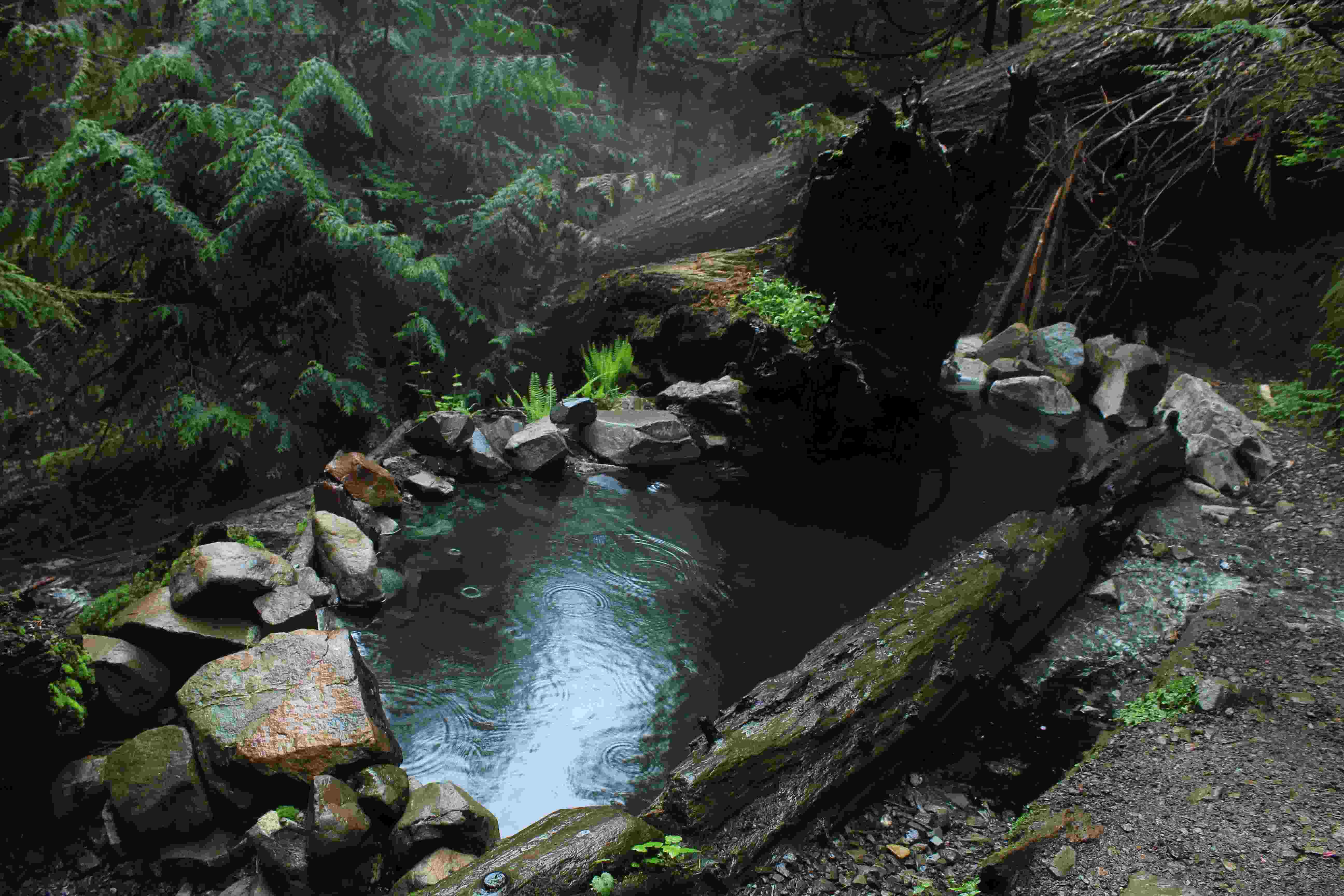 Hidden-Gems-Of-Washington8217s-Olympic-Hot-Springs hidden-gems-of-washingtons-olympic-hot-springs
