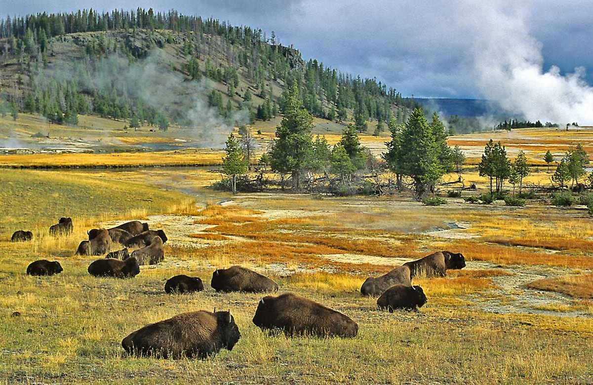 hidden-hot-springs-in-wyomings-yellowstone-wilderness