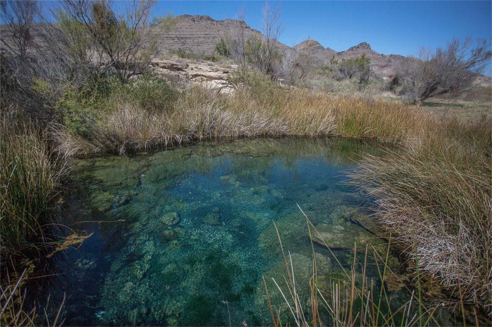 Hidden-Jewel-Toned-Springs-In-Nevada8217s-Ash-Meadows hidden-jewel-toned-springs-in-nevadas-ash-meadows