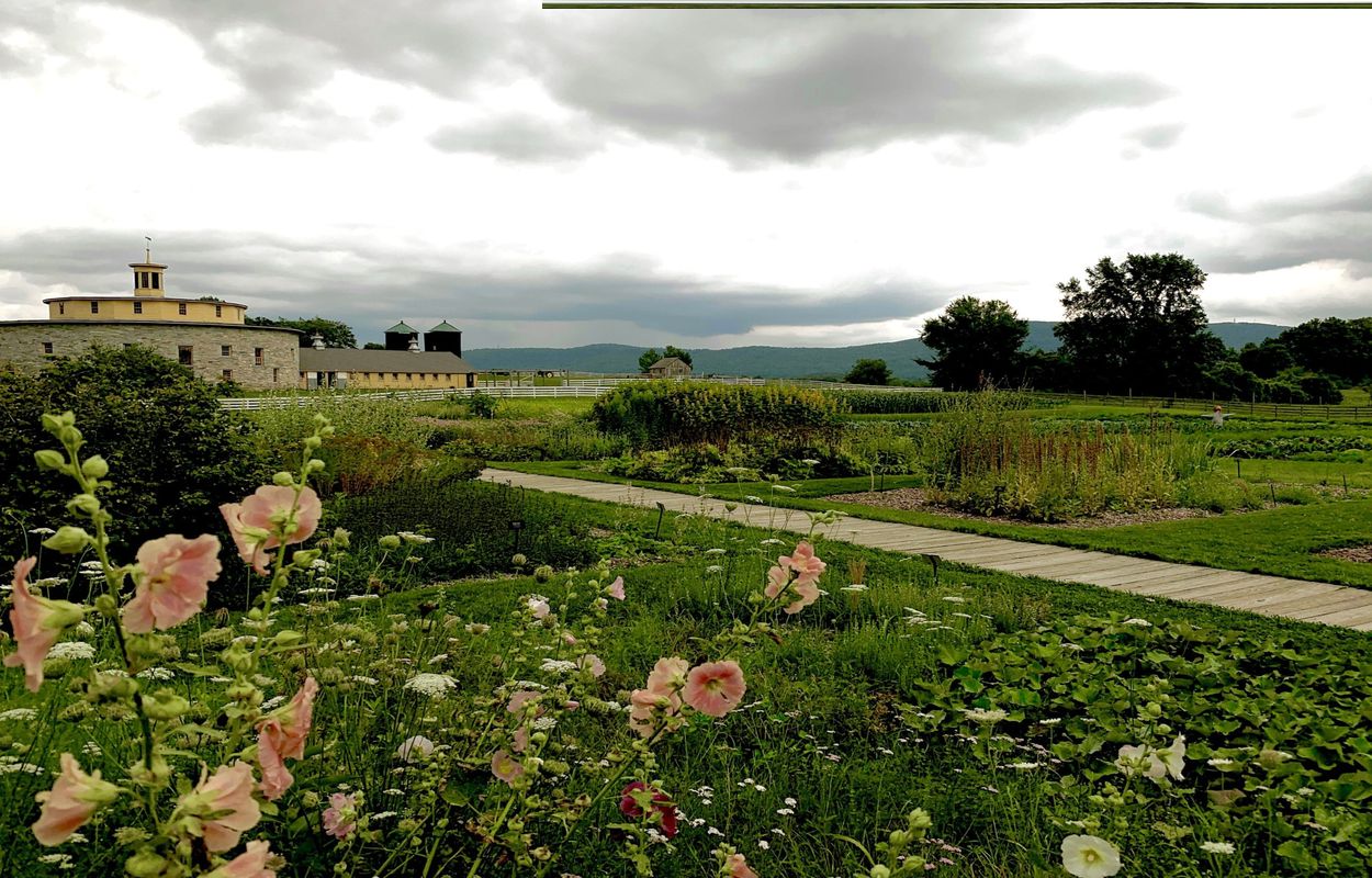 hidden-medicinal-gardens-of-hancock-massachusetts