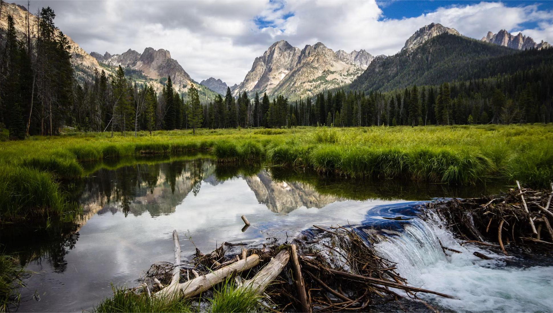 hidden-mountain-meadows-of-idahos-sawtooth-range