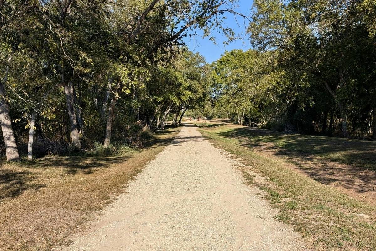 Hidden-Paths-Of-Texas8217s-El-Camino-Real hidden-paths-of-texass-el-camino-real