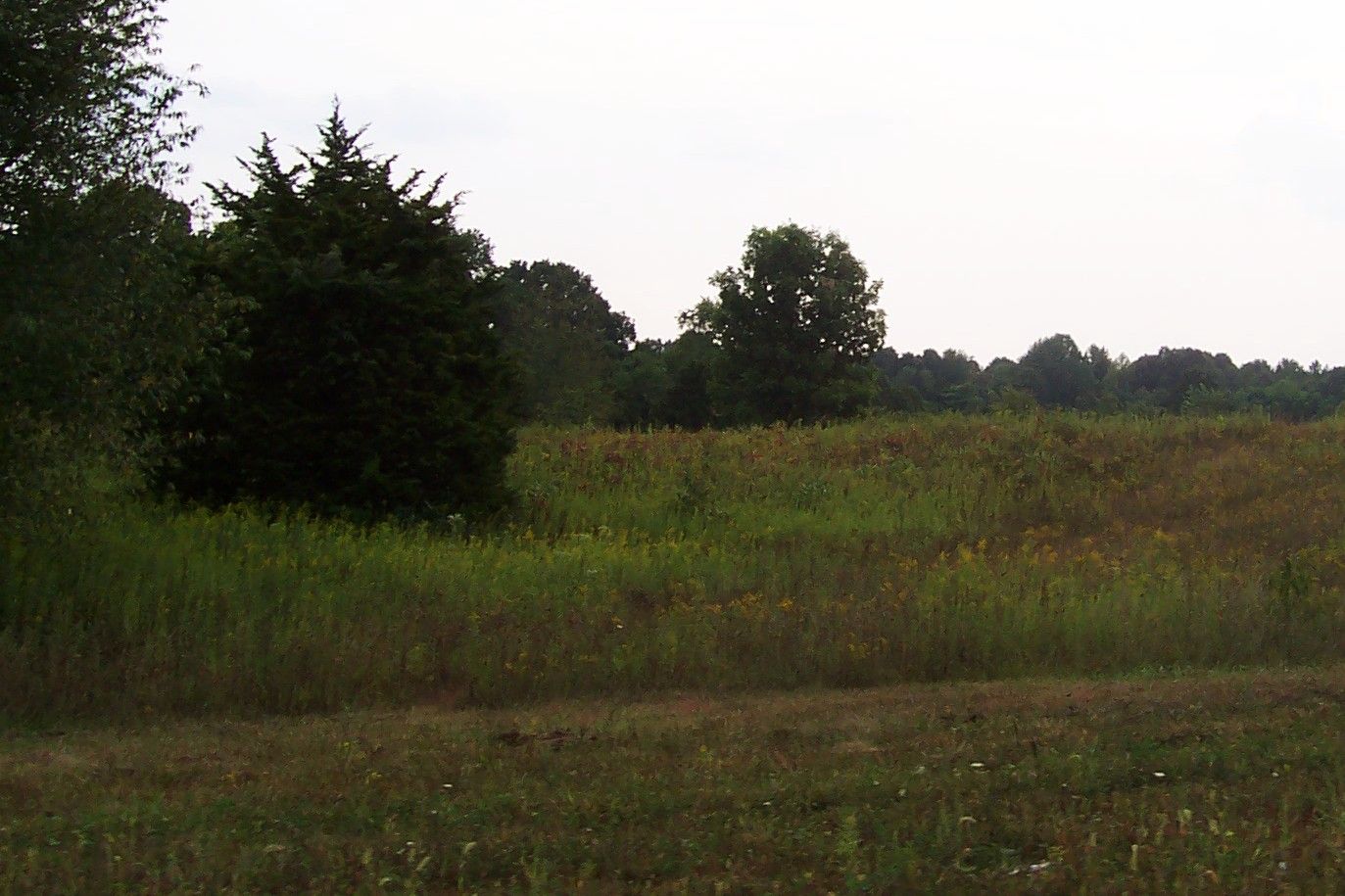 hidden-pioneer-roads-of-indianas-vincennes-trace