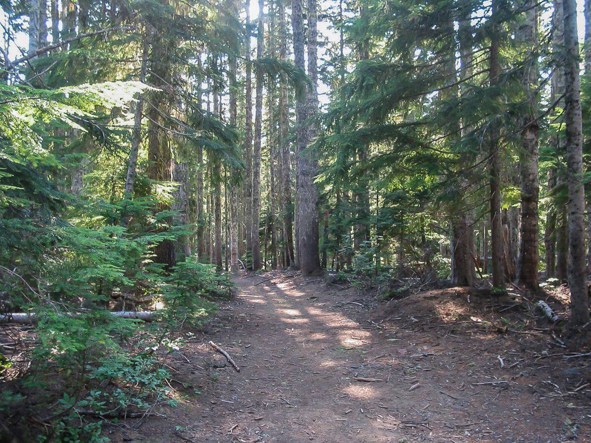 hidden-pioneer-trails-of-oregons-barlow-road