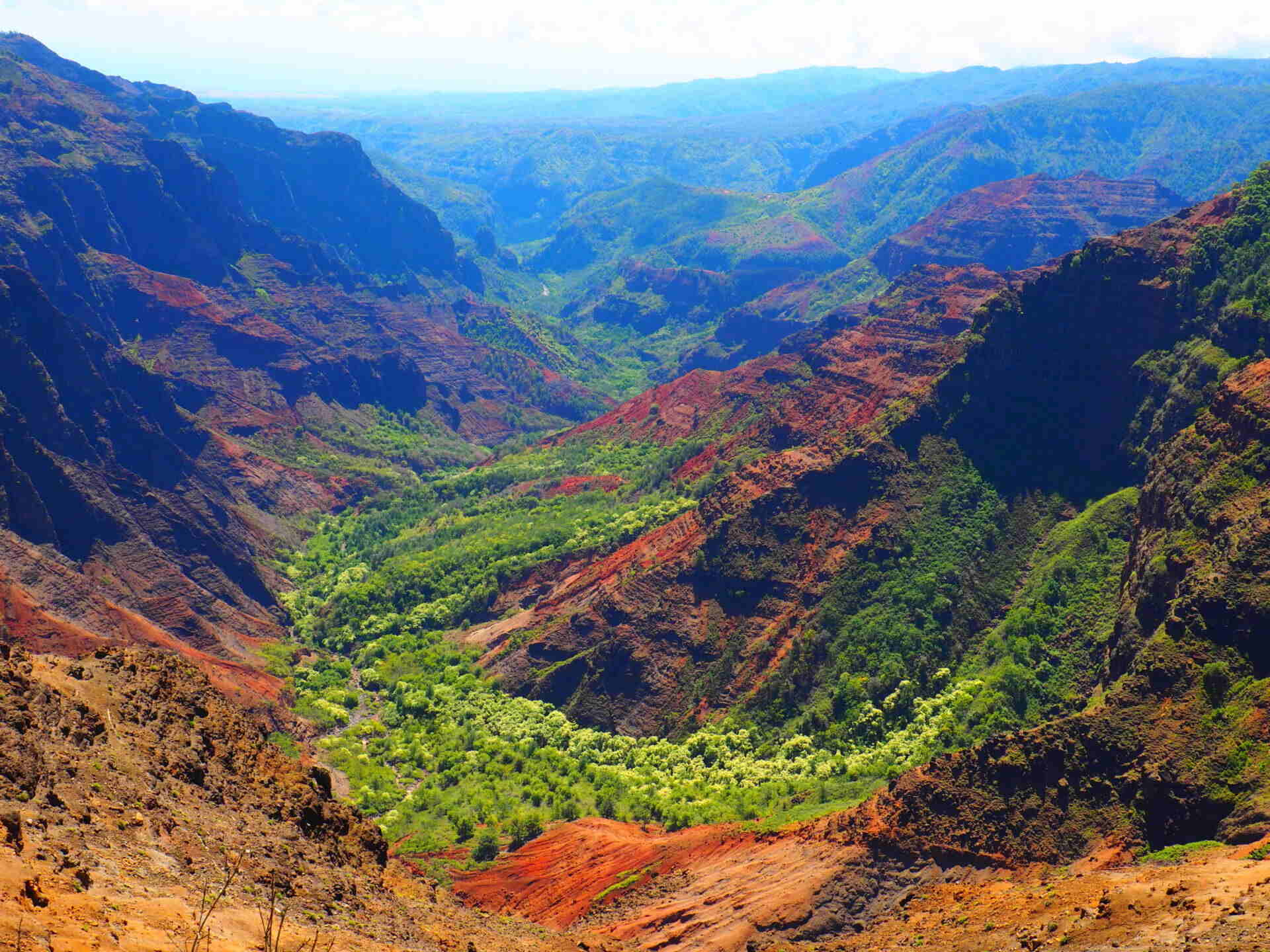 hidden-rain-forest-valleys-of-hawaiis-waimea-canyon