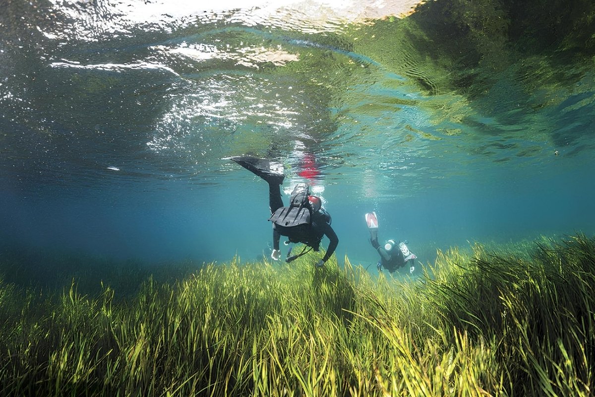 Hidden-Spring-Fed-Snorkeling-Holes-In-Florida8217s-Rainbow-Springs hidden-spring-fed-snorkeling-holes-in-floridas-rainbow-springs