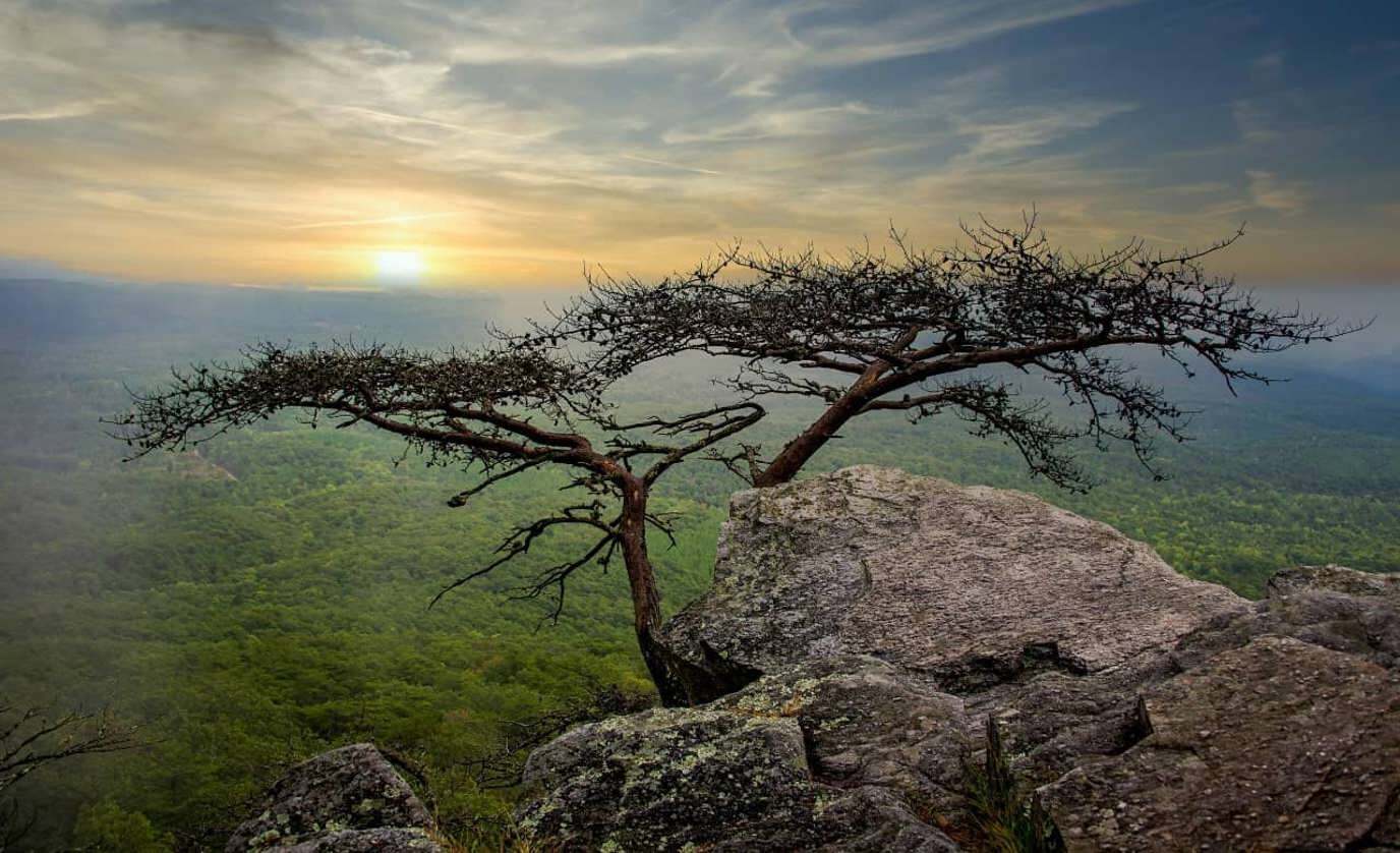 hidden-stone-arches-in-alabamas-cheaha-state-park