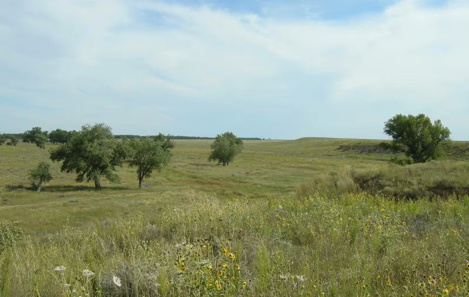 hidden-stories-of-colorados-sand-creek-massacre-site