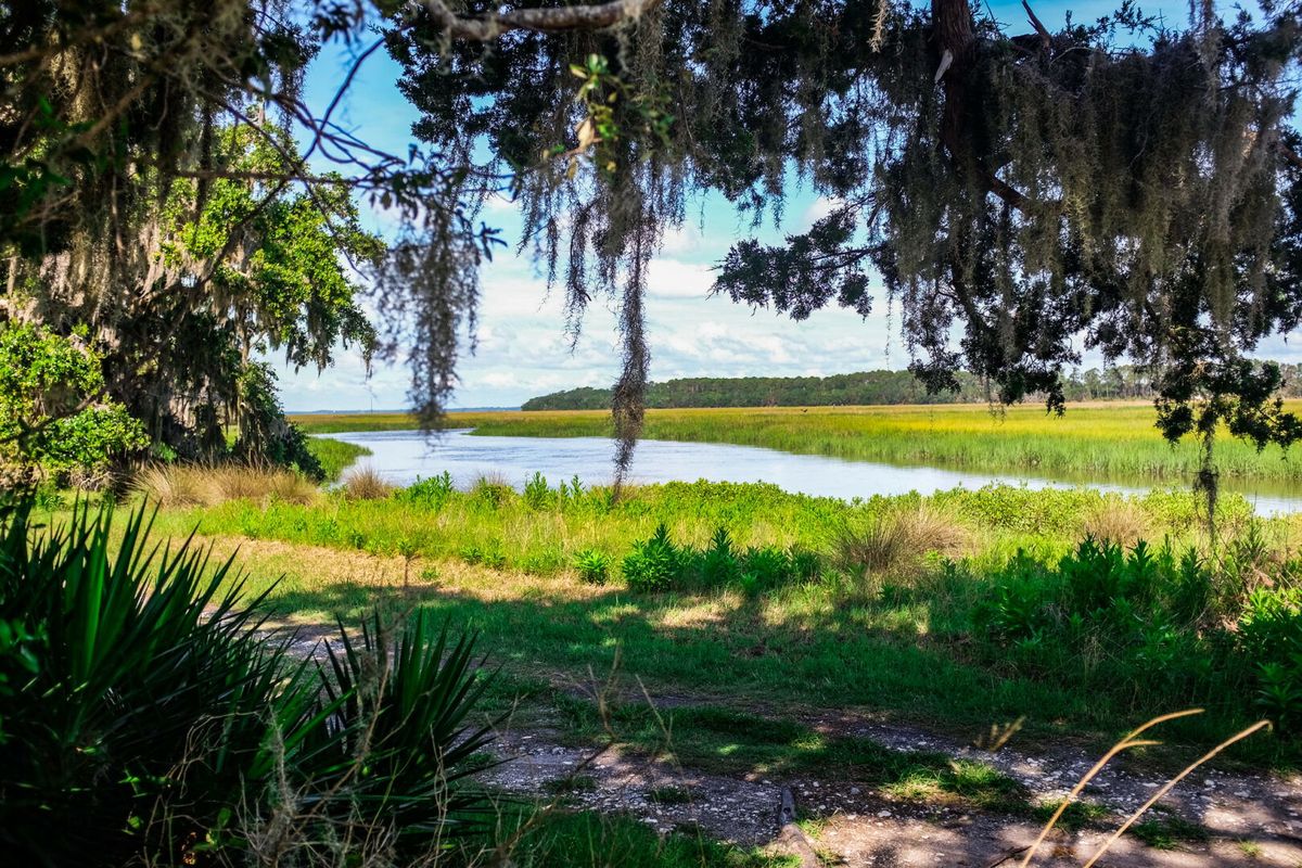Hidden-Tidal-Islands-Of-Georgia8217s-Sapelo-Island hidden-tidal-islands-of-georgias-sapelo-island