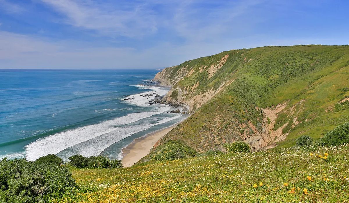 hidden-tide-pools-of-californias-point-reyes