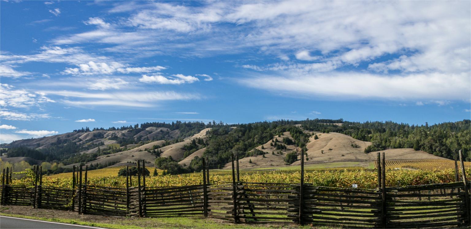 Hidden-Treasures-Of-Anderson-Valley-Vineyards hidden-treasures-of-anderson-valley-vineyards