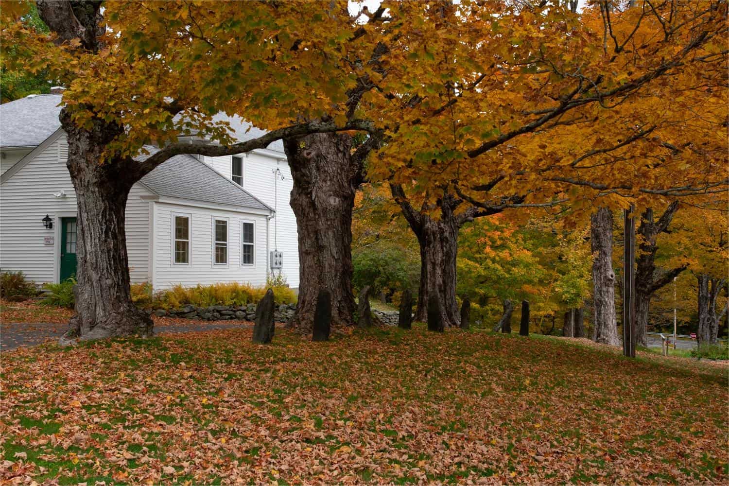 hidden-treasures-of-harvard-forest-fisher-museum