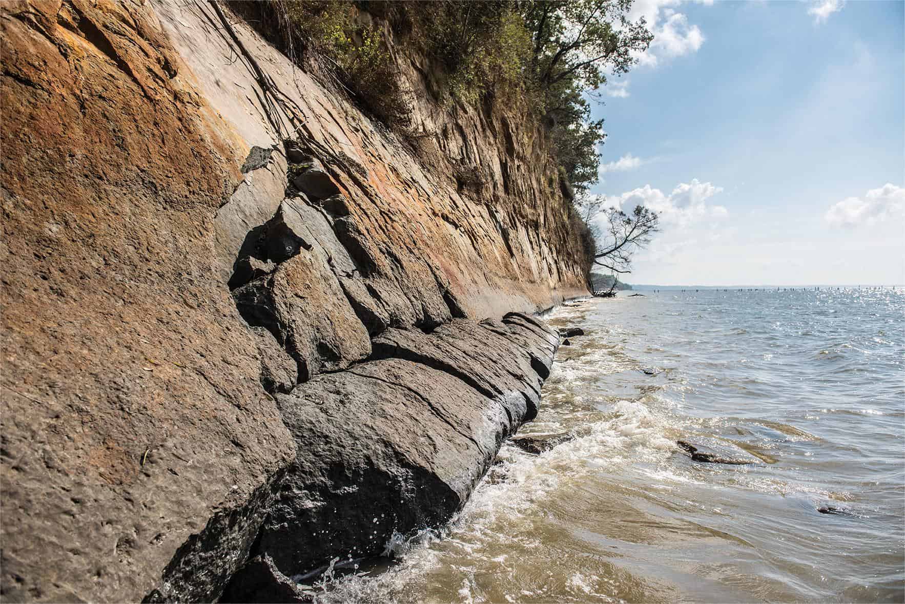 Hidden-Treasures-Of-Maryland8217s-Calvert-Cliffs-Fossil-Beach hidden-treasures-of-marylands-calvert-cliffs-fossil-beach