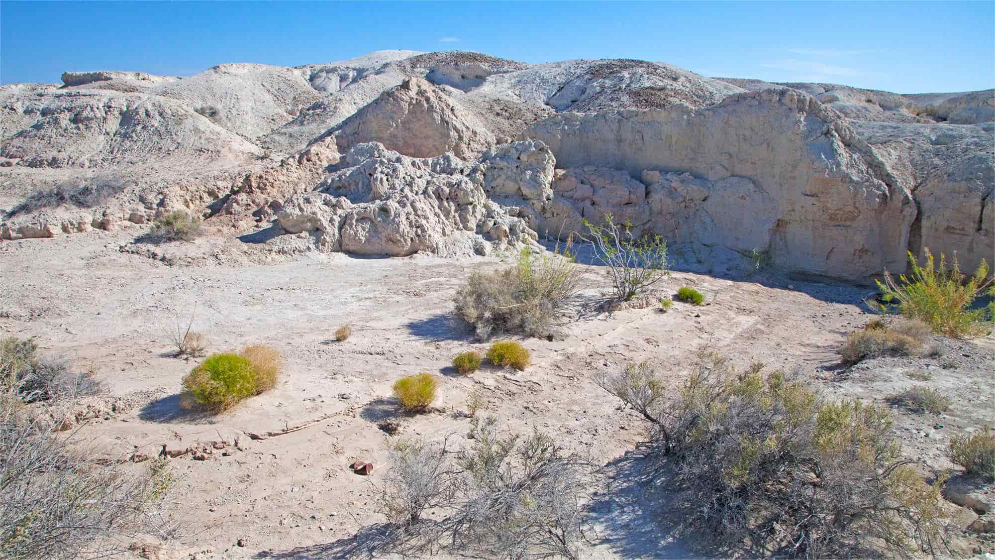 hidden-treasures-of-nevadas-tule-springs-fossil-beds-national-monument