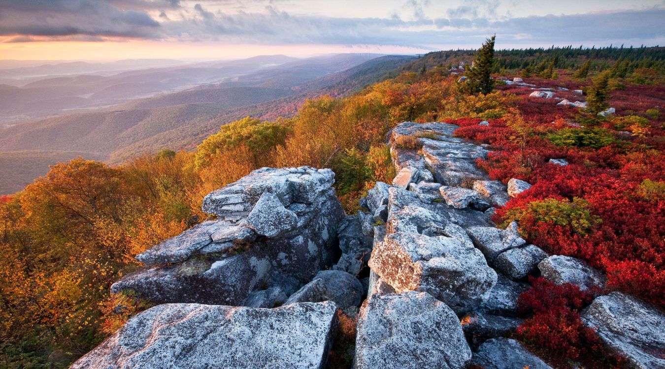 Hidden-Valley-Retreats-In-West-Virginia8217s-Dolly-Sods hidden-valley-retreats-in-west-virginias-dolly-sods