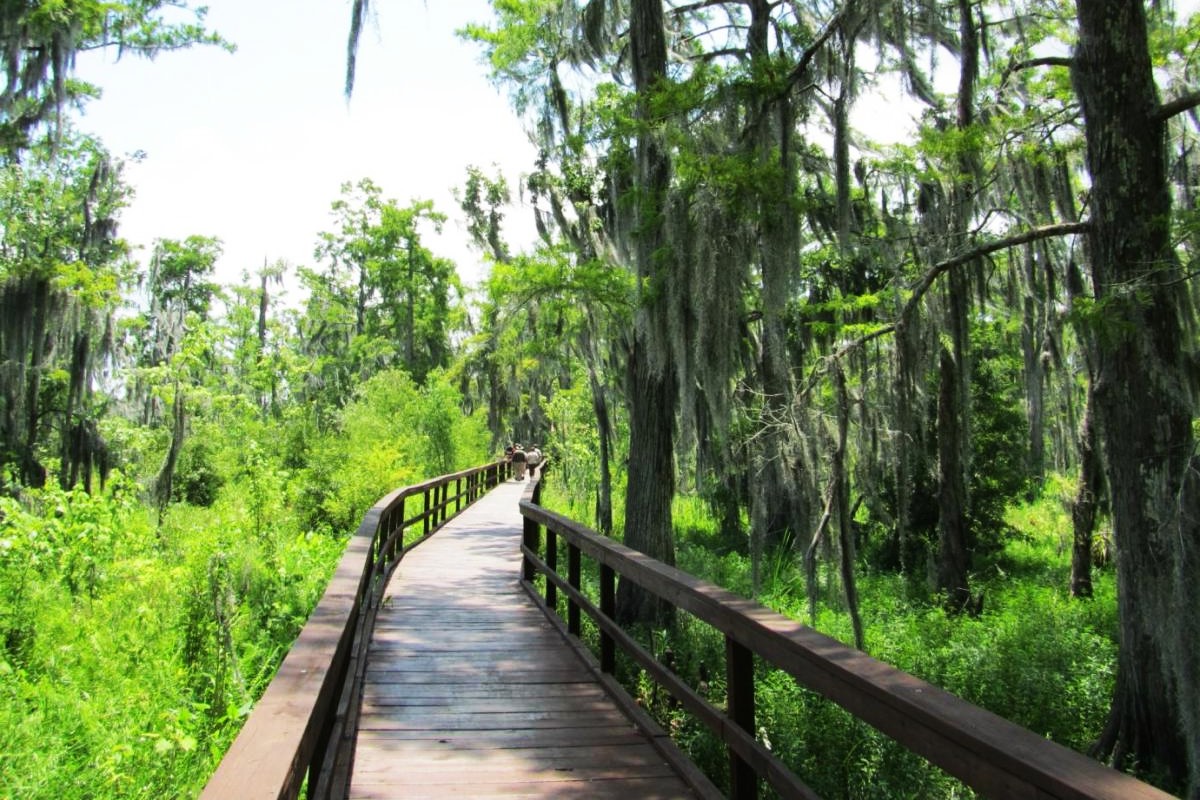 Hidden-Wetland-Wonders-Of-Louisiana8217s-Jean-Lafitte hidden-wetland-wonders-of-louisianas-jean-lafitte