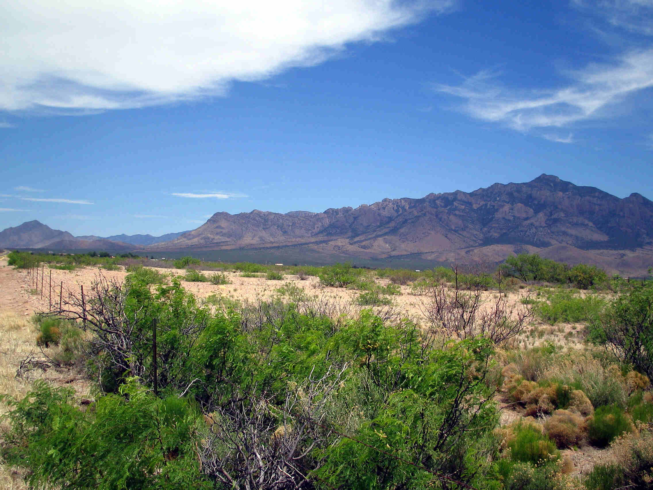 Hidden-Wonders-Of-Arizona8217s-Chiricahua-Mountains-Sky-Islands hidden-wonders-of-arizonas-chiricahua-mountains-sky-islands