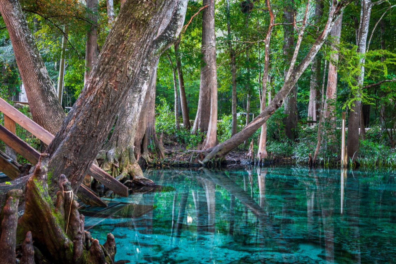 hidden-wonders-of-floridas-ginnie-springs