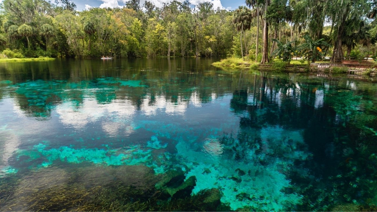 Hidden-Wonders-Of-Florida8217s-Silver-Springs hidden-wonders-of-floridas-silver-springs