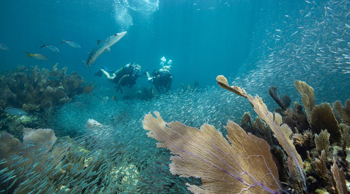 hidden-wonders-of-floridas-ten-thousand-islands