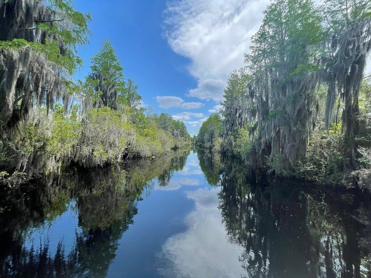 hidden-wonders-of-georgias-okefenokee-wildlife-refuge