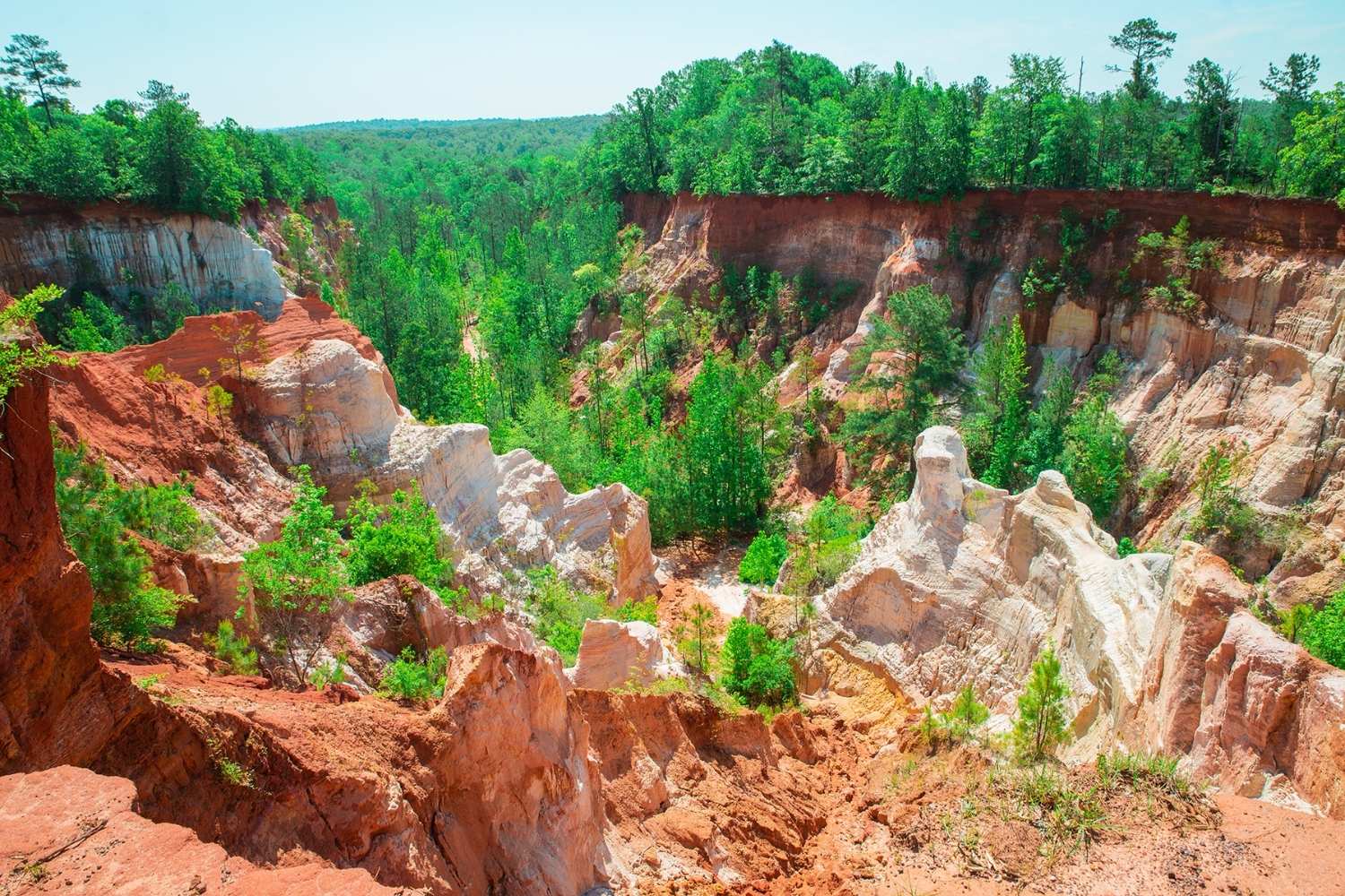 hidden-wonders-of-georgias-providence-canyon-state-park