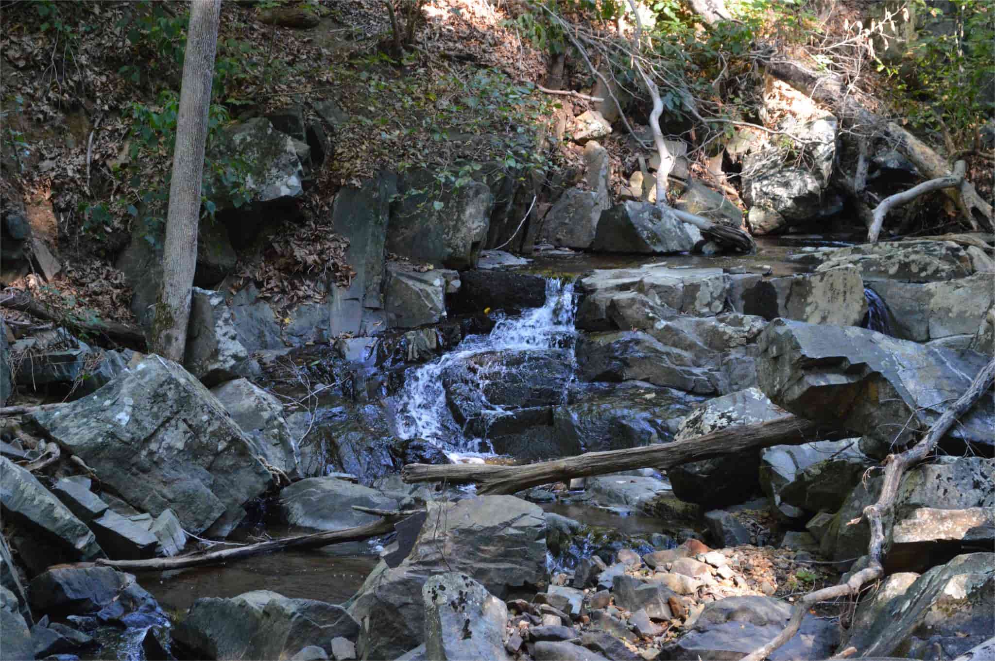 hidden-wonders-of-gunpowder-falls-state-park-hemlock-gorge