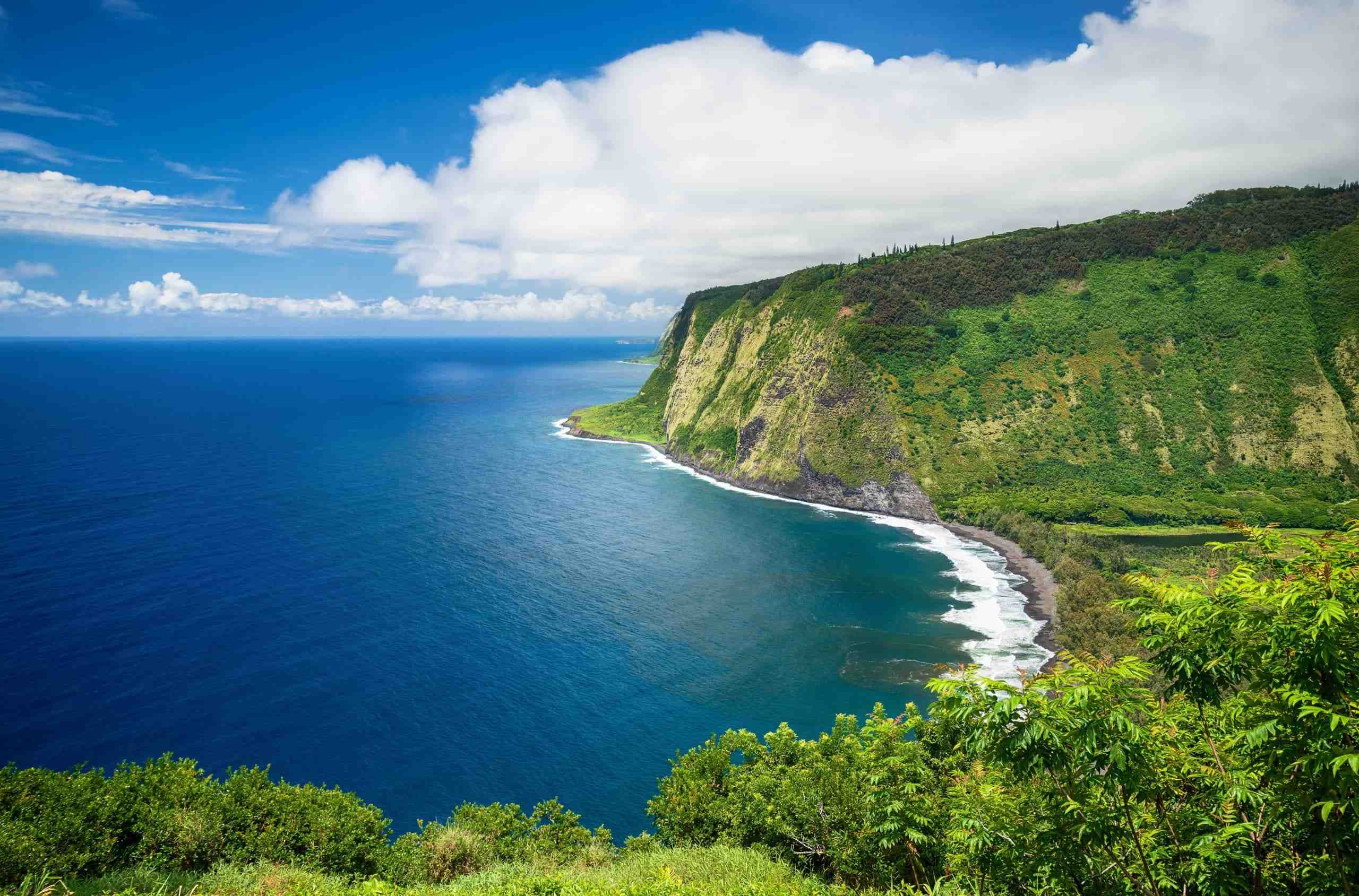 hidden-wonders-of-hawaiis-waipio-valley-taro-fields