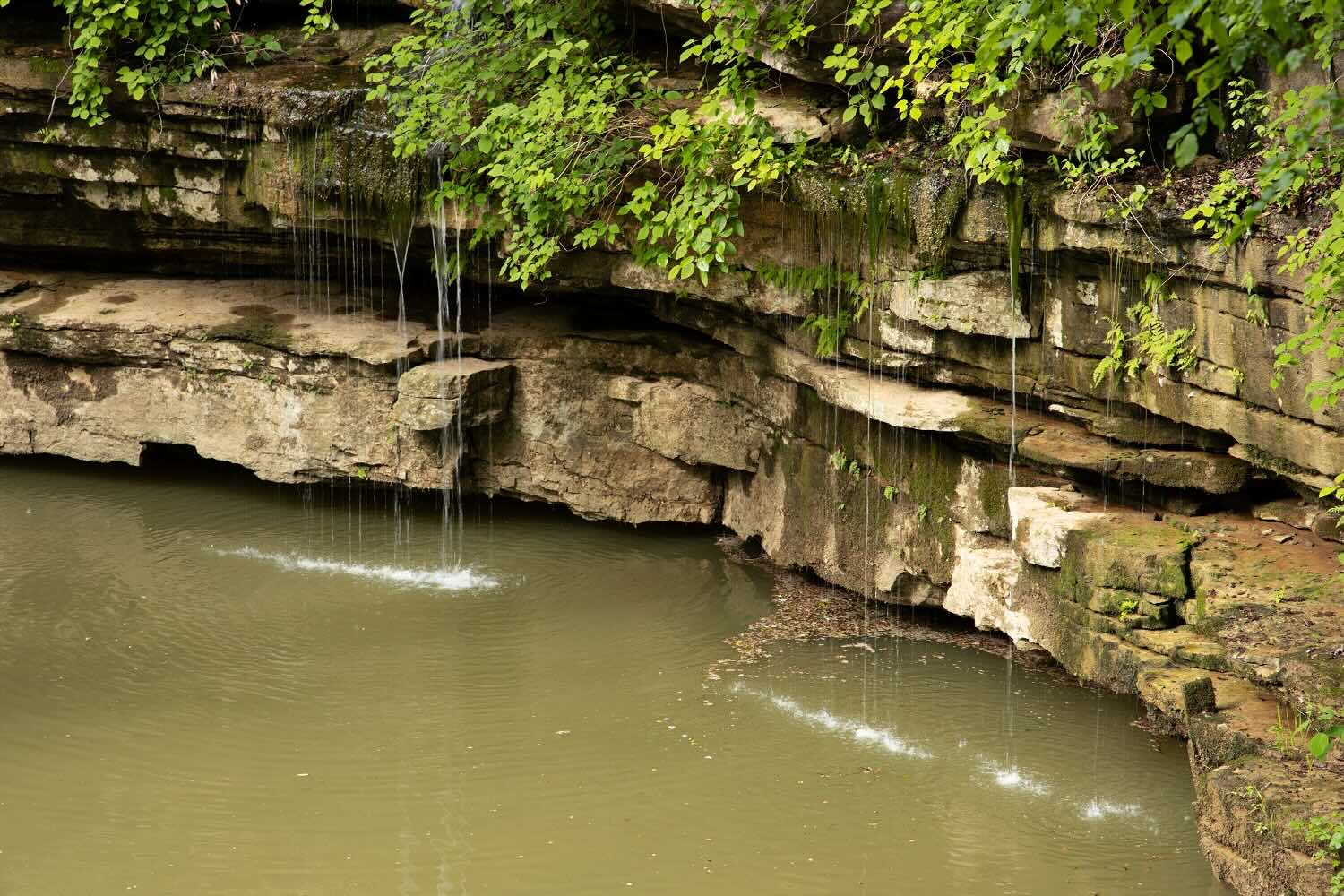 Hidden-Wonders-Of-Kentucky8217s-Green-River-Mammoth-Cave-System hidden-wonders-of-kentuckys-green-river-mammoth-cave-system