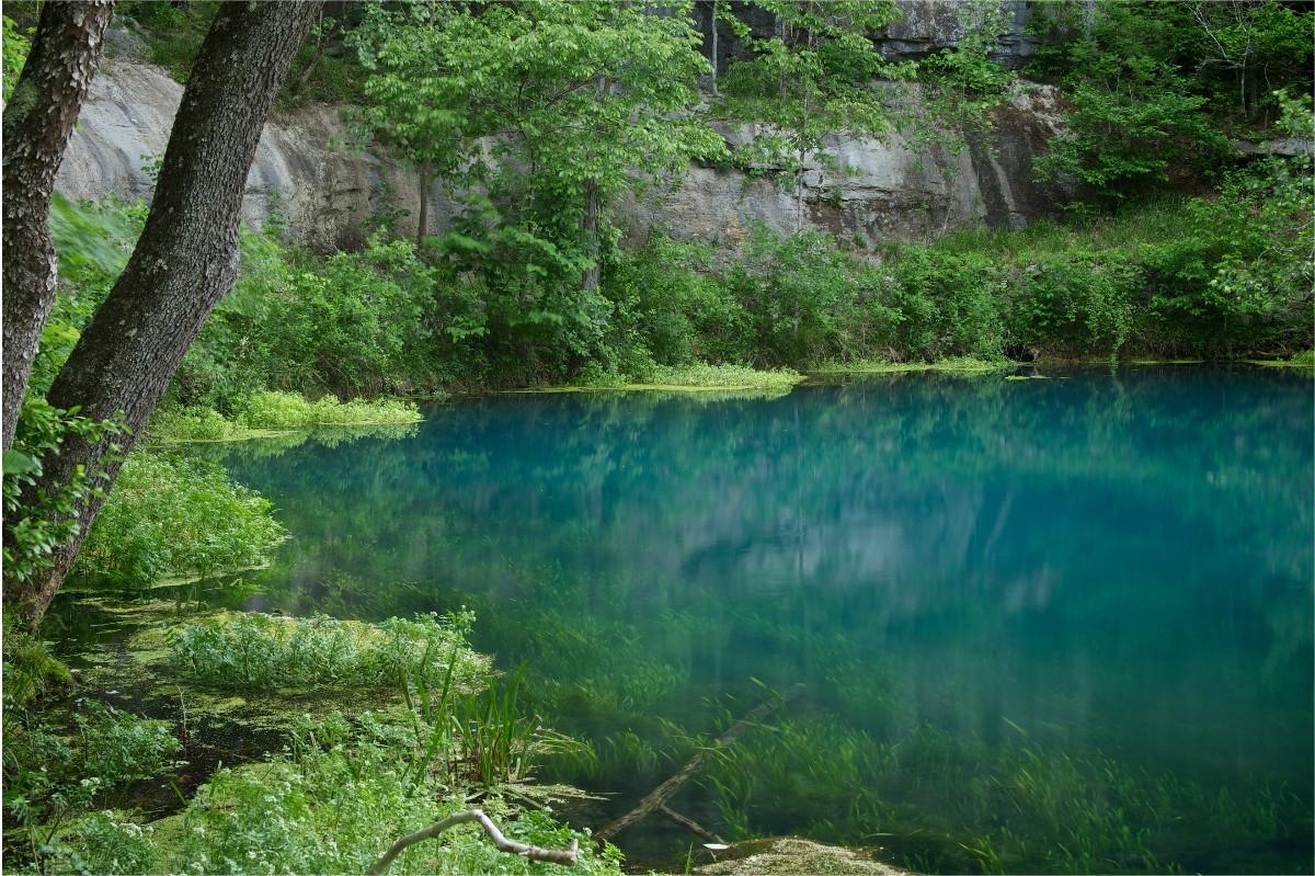 hidden-wonders-of-missouris-alley-spring-snorkeling-basins