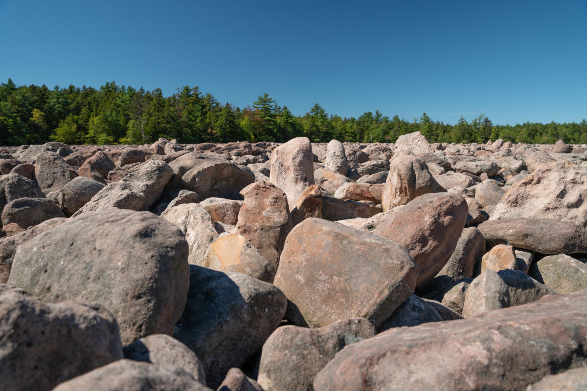 hidden-wonders-of-pennsylvanias-hickory-run-boulder-field