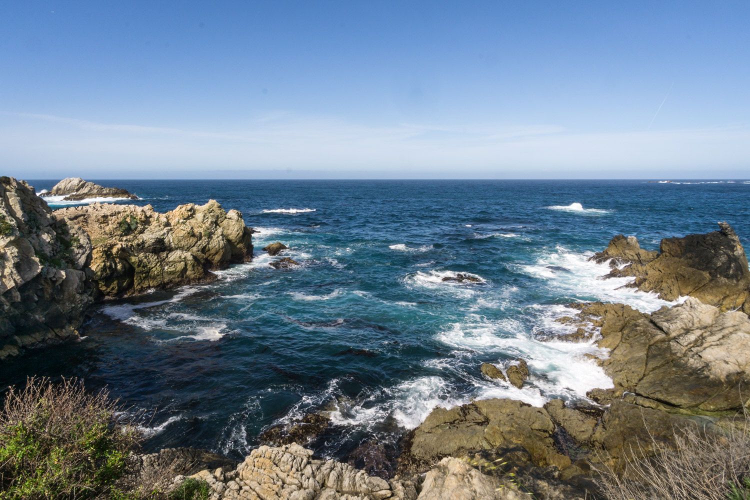 Hidden-Wonders-Of-Point-Lobos-Bird-Island-Trail hidden-wonders-of-point-lobos-bird-island-trail