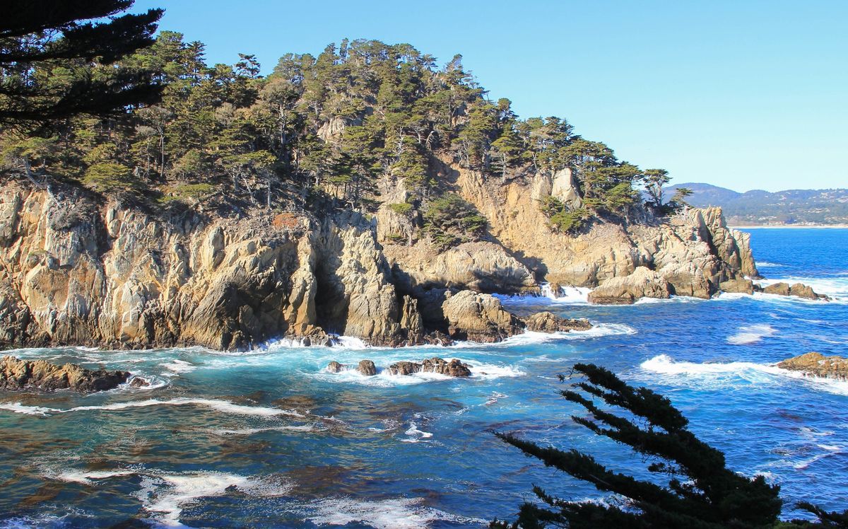 hidden-wonders-of-point-lobos-cypress-grove-trail