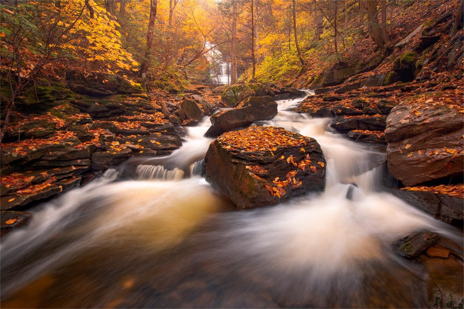 hidden-wonders-of-ricketts-glen-ganoga-falls-in-pennsylvania