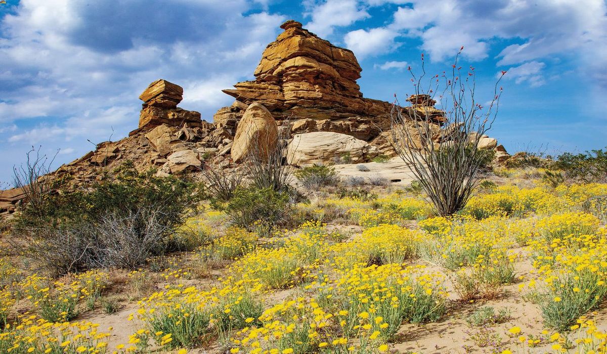 hidden-wonders-of-texass-big-bend-desert-springs