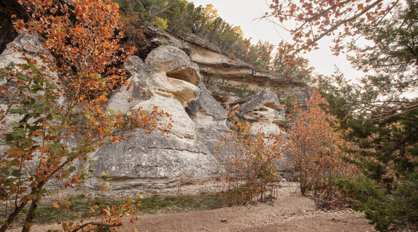 Hidden-Wonders-Of-Texas8217s-Lost-Maples-Trail hidden-wonders-of-texass-lost-maples-trail